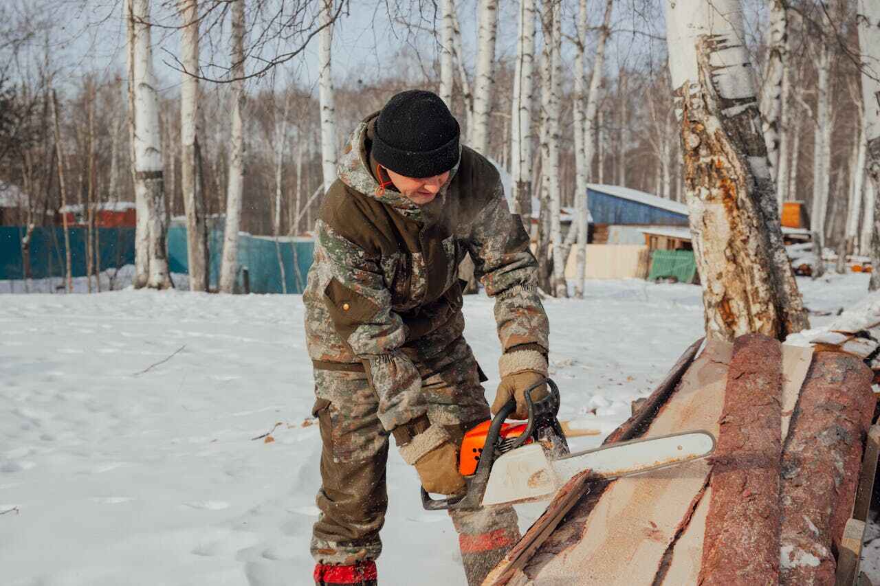 Tree Removal for Businesses in Emory, TX